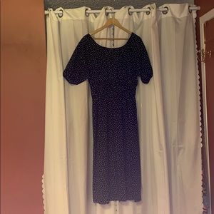 LOOK NEW!!! ZARA Polka Dot Long Dress